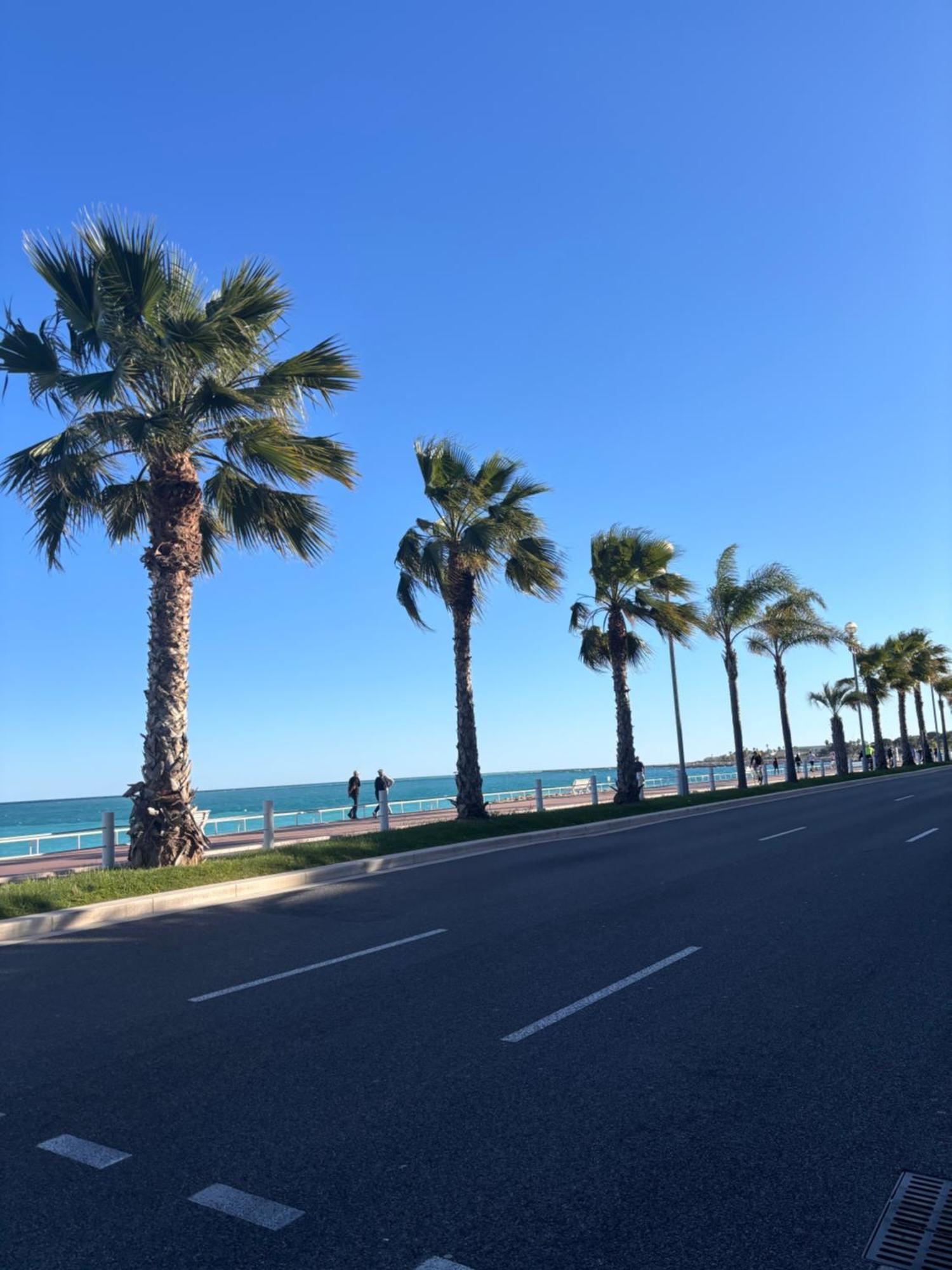 Grand Studio De 30 M2 Promenade Des Anglais Nice Bagian luar foto